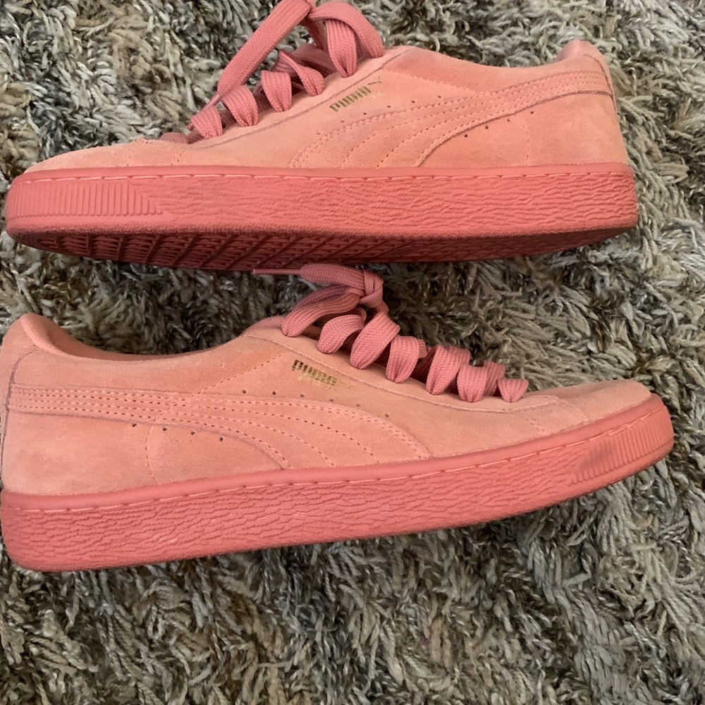 Puma (coral)